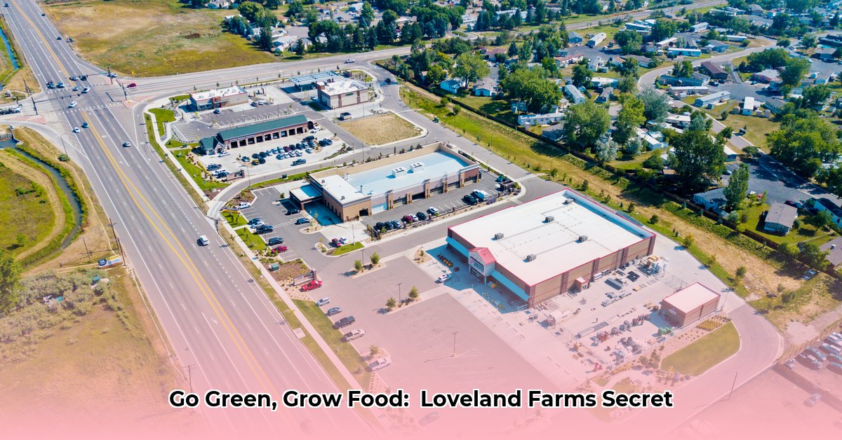 tractor-supply-loveland-co